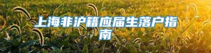 上海非沪籍应届生落户指南