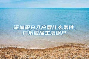 深圳积分入户要什么条件,广东应届生落深户