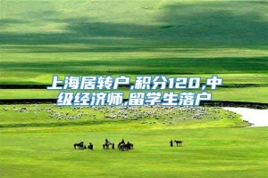 上海居转户,积分120,中级经济师,留学生落户