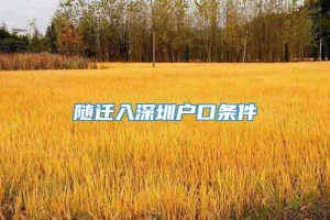 随迁入深圳户口条件