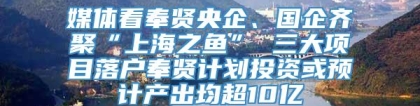 媒体看奉贤央企、国企齐聚“上海之鱼” 三大项目落户奉贤计划投资或预计产出均超10亿