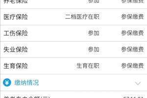 非深户买的二档社保，每个月交医疗保险五六百，为什么医疗保险专户里没钱？