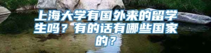 上海大学有国外来的留学生吗？有的话有哪些国家的？