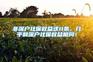 非深户社保权益这11条，几乎和深户社保权益相同！