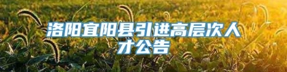 洛阳宜阳县引进高层次人才公告