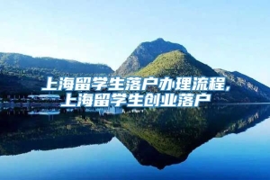 上海留学生落户办理流程,上海留学生创业落户