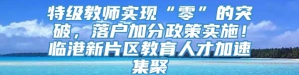 特级教师实现“零”的突破，落户加分政策实施！临港新片区教育人才加速集聚