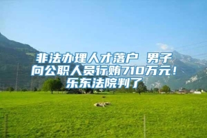 非法办理人才落户 男子向公职人员行贿710万元！乐东法院判了