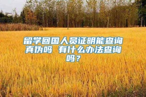 留学回国人员证明能查询真伪吗 有什么办法查询吗？