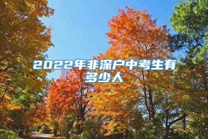 2022年非深户中考生有多少人