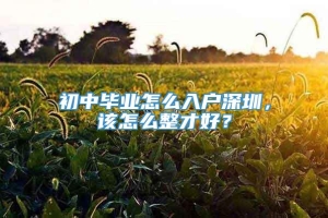 初中毕业怎么入户深圳，该怎么整才好？