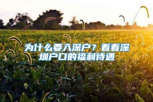 为什么要入深户？看看深圳户口的福利待遇