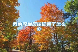 我的深圳居住证丢了怎么办