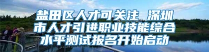 盐田区人才可关注 深圳市人才引进职业技能综合水平测试报名开始启动