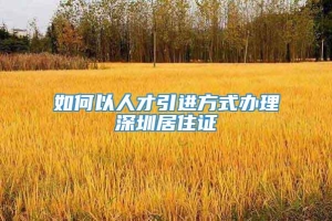 如何以人才引进方式办理深圳居住证