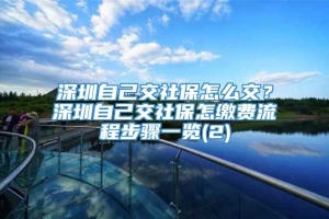 深圳自己交社保怎么交？深圳自己交社保怎缴费流程步骤一览(2)