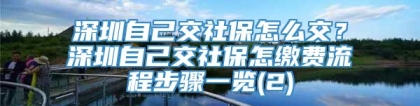 深圳自己交社保怎么交？深圳自己交社保怎缴费流程步骤一览(2)