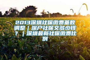 2013深圳社保缴费基数调整｜深户社保交多少钱？｜深圳最新社保缴费比例