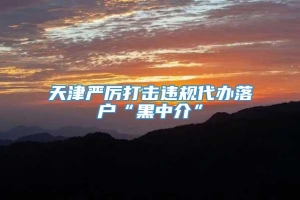 天津严厉打击违规代办落户“黑中介”