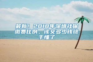 最新！2018年深圳社保缴费比例，该交多少钱终于懂了