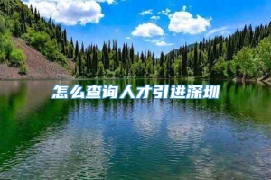 怎么查询人才引进深圳