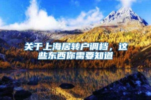 关于上海居转户调档，这些东西你需要知道