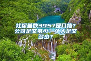 社保基数3957是几档？公司是交多少？个人是交多少？