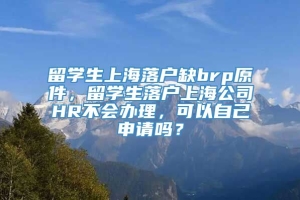 留学生上海落户缺brp原件，留学生落户上海公司HR不会办理，可以自己申请吗？