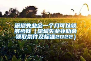 深圳失业金一个月可以领多少钱（深圳失业补助金领取条件及标准2022）