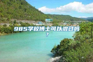 985学校博士可以混过吗？