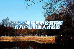 2022年深圳市公安局积分入户新引进人才政策