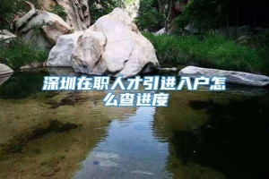 深圳在职人才引进入户怎么查进度