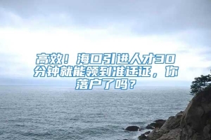 高效！海口引进人才30分钟就能领到准迁证，你落户了吗？