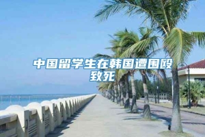 中国留学生在韩国遭围殴致死