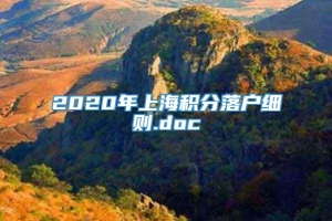 2020年上海积分落户细则.doc