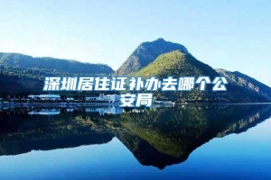 深圳居住证补办去哪个公安局