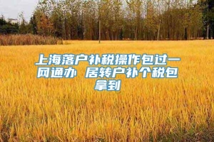 上海落户补税操作包过一网通办 居转户补个税包拿到