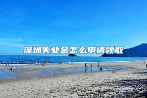 深圳失业金怎么申请领取