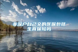 非深户自己交的医保包括生育保险吗