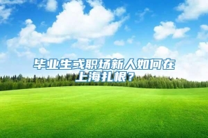 毕业生或职场新人如何在上海扎根？