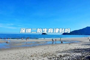 深圳二胎生育津贴吗