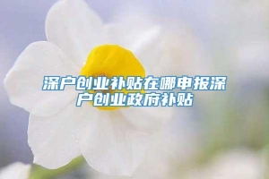 深户创业补贴在哪申报深户创业政府补贴