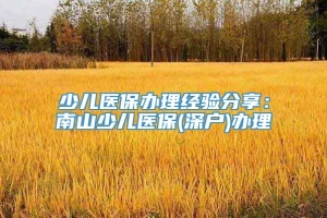 少儿医保办理经验分享：南山少儿医保(深户)办理