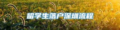 留学生落户深圳流程