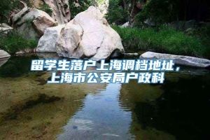 留学生落户上海调档地址，上海市公安局户政科