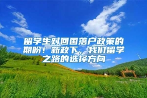 留学生对回国落户政策的期盼！新政下，我们留学之路的选择方向