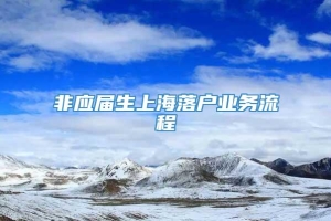 非应届生上海落户业务流程