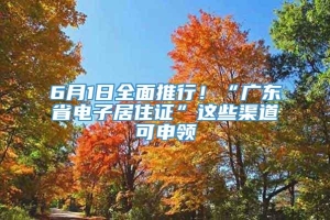 6月1日全面推行！“广东省电子居住证”这些渠道可申领