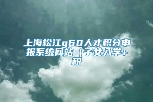 上海松江g60人才积分申报系统网站（子女入学+积