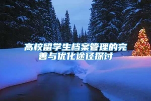 高校留学生档案管理的完善与优化途径探讨